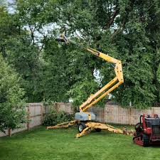 Best Lawn Mowing  in Interlaken, CA