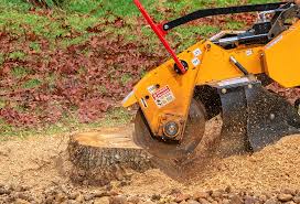 Best Soil Testing and Treatment  in Interlaken, CA